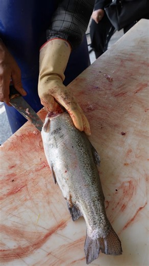 Quick & Easy Fish Filleting — Perfect for Home Kitchen