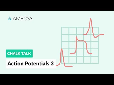 Action Potentials - Part 3: Skeletal Muscle Action Potential