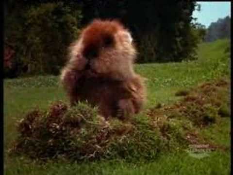 caddyshack gopher