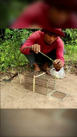 Wood & Mouse Trap Bird Catcher | Primitive DIY 🪶