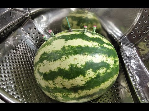 Compilation - Watermelons - in a Washing Machine