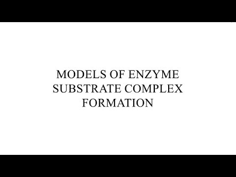 Models of Enzyme Substrate Complex Formation | Biochemistry FYUGP | Kerala University Syllabus
