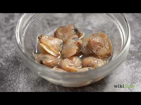 How to Store Clams