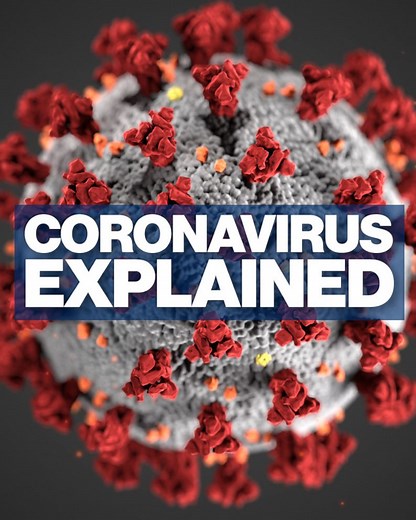 Coronavirus explained