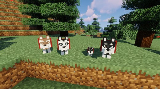 5 best Minecraft mods and resource packs for dogs