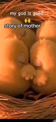 story of mother #fypシ゚viral #goviral #fypシ゚viral #goviral #fypシ゚viral | mother