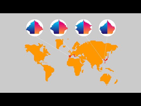 Qu'est ce que la pyramide des âges ?