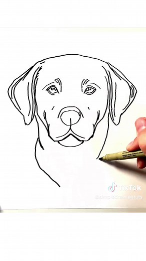 How to Draw a Labrador Retriever: Simple Art Guide
