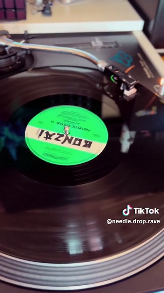 Needle Drop Rave on TikTok