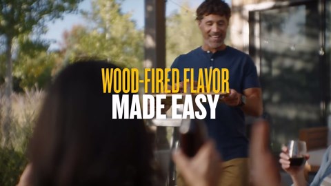 20 Tulip Bulbs for Fall Planting, Top Size Tulips Bulbs Perennial Flowers, Vibrant Spring Blooms, Easy Fall Planting (Black Tulip Collection)