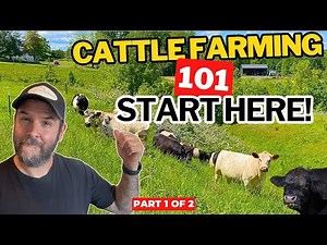 Cattle Farming 101: A Beginner’s Guide to Raising Cattle (Part 1)