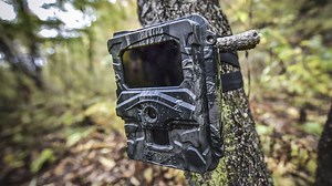 The best trail camera: for wildlife photography and nature watching