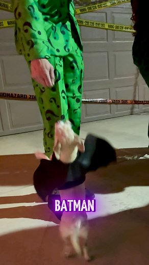 Halloween Batman Attacks Riddler #now This video was produced by Network Media LLC and Jamie Honey | International Laugh Day | Facebook