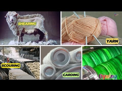 Wool Yarn Manufacturing Process - From Sheep to Skein