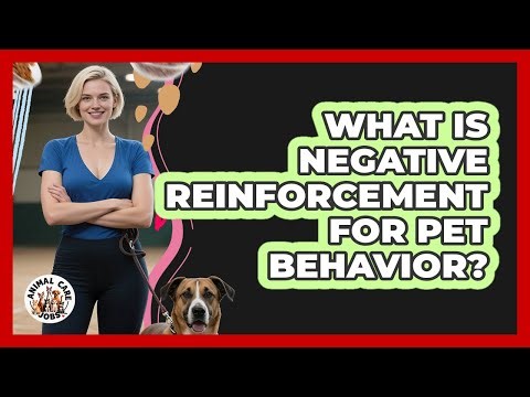 What Is Negative Reinforcement For Pet Behavior? - Animal Care Jobs