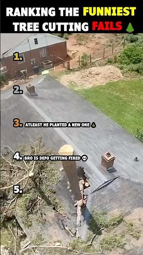 Ranking the funniest tree cutting fails! 🌲