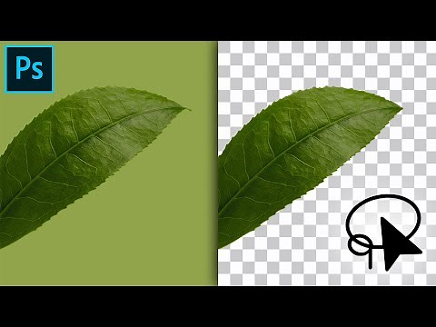 How To Use The Lasso Tool To Cut Out Images In Photoshop