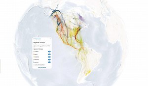 Bird Migration Explorer