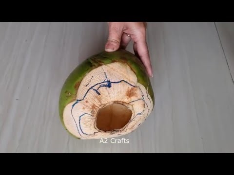Turning Green Coconut Shell into Beautiful Home Décor Item || Reuse idea