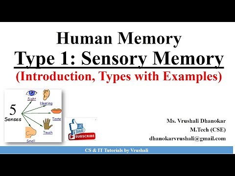 HCI 2.3 Type 1: Sensory Memory (Iconic, Echoic and Haptic Memory) with Examples