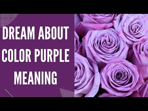 Colour Purple Dream Meaning & Interpretations (Dreaming of the purple color)