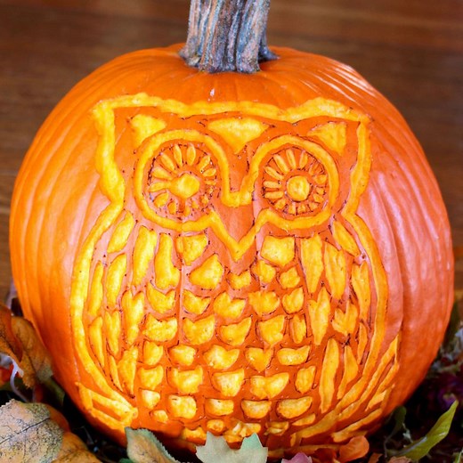 DIY Woodland Owl Pumpkin Carving (Free Stencil Pattern) | Welcome To Nana's