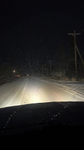 Never complain, never explain. | Adrian Limod