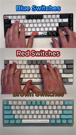 Which Switch Sounds Better? Blue vs Red vs Brown #mechanicalkeyboard #switches #asmr