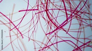 Natural wool under a microscope. Valuable and sought-after material in textile and fashion industries, interior design and production of household goods. 100x tines magnification