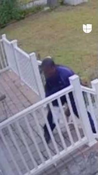 Desmantelan red de ladrones de paquetes enviados por FedEx en Nueva York