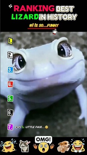 Ranking The Funniest Lizard Moments Ever in History 😂🦎 | #1 Will Leave You Wheezing!