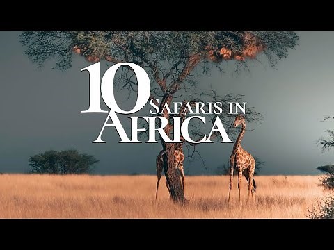 10 Most Beautiful Safaris to Visit in Africa 🐘 | Safari Travel Guide