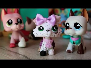 LPS: Famous || Film