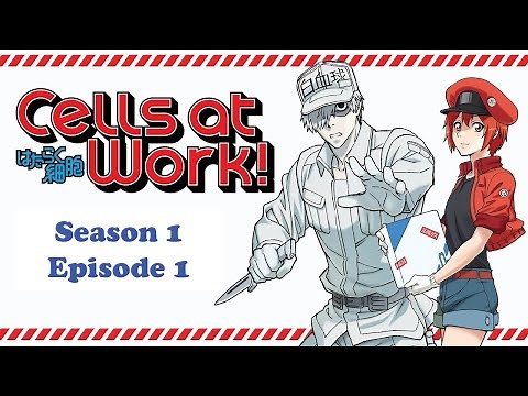 Cells at Work! S1 Ep1: Corona Virus Invasion!