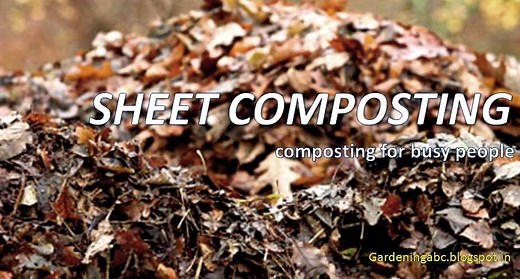 Sheet Composting Process: An Easy Step-By-Step Guide For Beginners