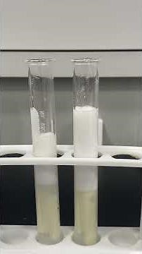 Potato Cores in Hydrogen Peroxide