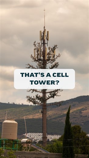 Ever wondered what some cell towers look like? You might see more of them than you think! | Speedtest