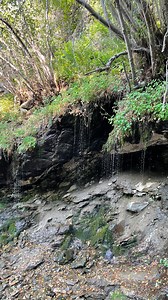 18K views · 2.3K reactions | Enchanted ✨慄 It doesn’t look like...