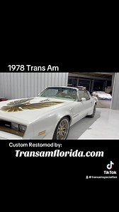 Trans Am Specialties of Florida on Reels