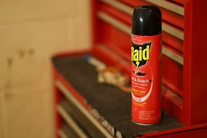 How Long After Spraying Raid Is It Safe? (Find Out Now!)