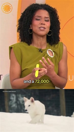 51K views · 325 reactions | For the first time, scientists say they have made a species de-extinct, bringing the dire wolf back into the world thousands of years after it died off. Colossal Biosciences, a company based in Dallas, says it successfully birthed three dire wolves — a species that once roamed North America but has been extinct for more than 12,500 years — using revolutionary science. https://cbsn.ws/3RDO5rN | CBS Mornings | Facebook