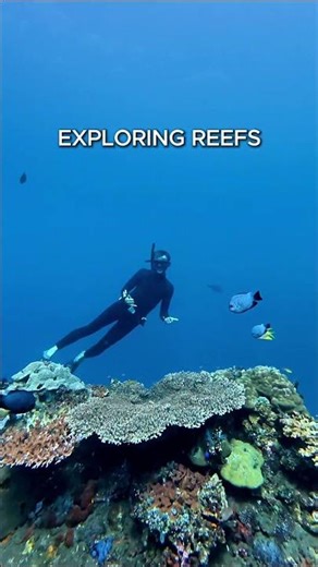 FREEDIVING MYTH: FREEDIVING'S ALL ABOUT GOING DEEP