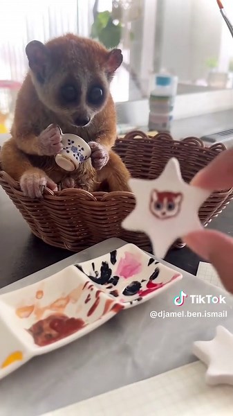 Discover the Enigmatic Slow Loris: Nature's Adorable Primates