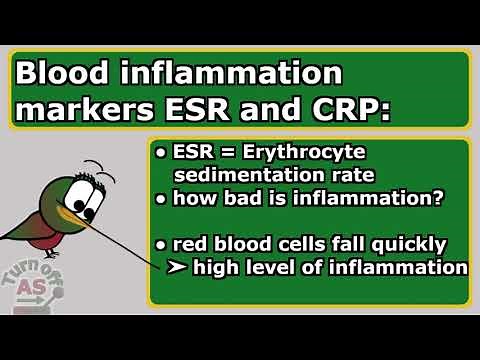 ESR and CRP blood test results explained. What is it?