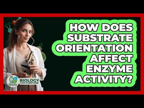 How Does Substrate Orientation Affect Enzyme Activity?