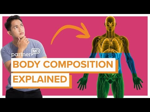 What Is Body Composition and Why It Matters
