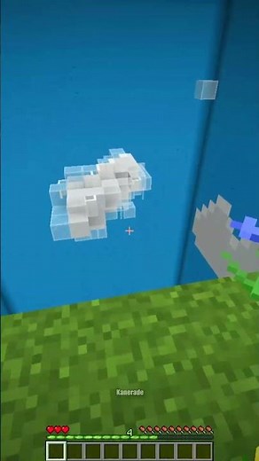 Minecraft Dropper 🥴 (はいよろこんで)
