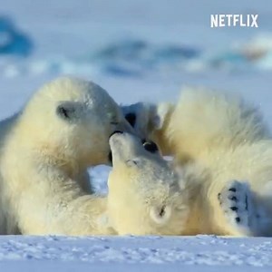 Share the wonder. Narrated by Sir David Attenborough, Our Planet launches worldwide April 5th. #ShareOurPlanet | Netflix