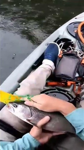 humdinger on the stringer