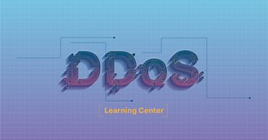 What is a DDoS botnet?